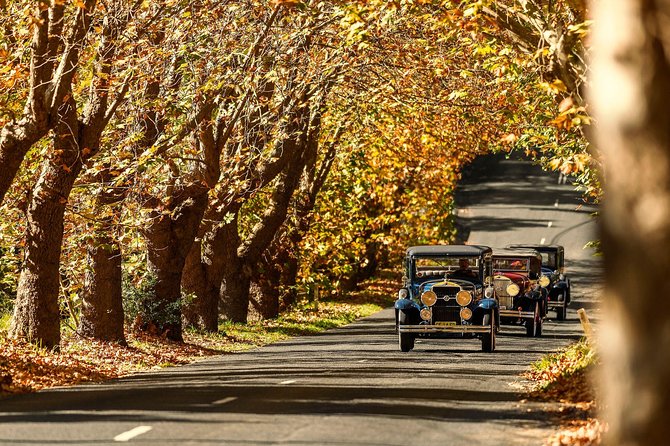 Blue Mountains Vintage Cadillac Tour with Local Guide - Starting in Leura Mall