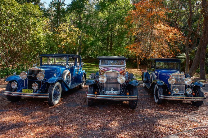 Blue Mountains Vintage Cadillac Tour with Local Guide - Cliff Drive and Eagle Hawk Lookout