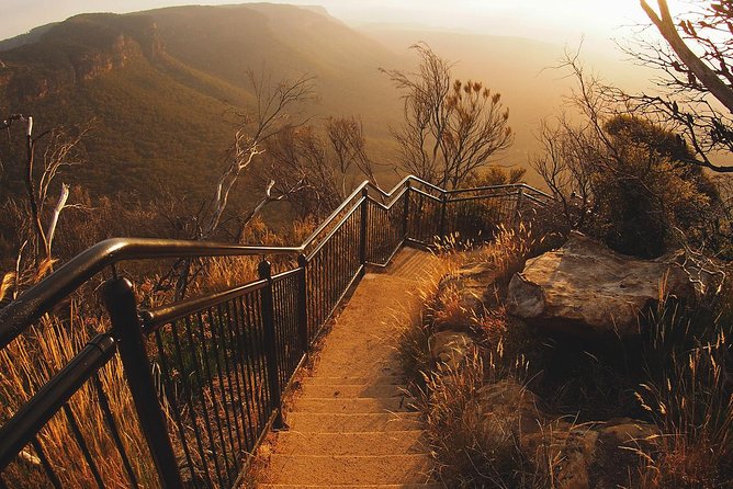 Blue Mountains Vintage Cadillac Tour with Local Guide - Cahill’s Lookout and the Megalong Valley