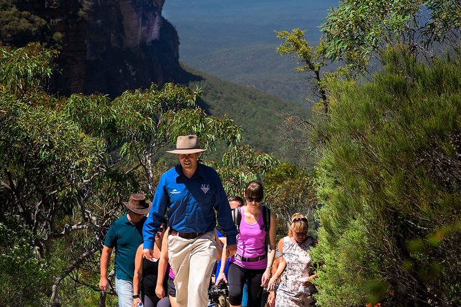 Blue Mountains Wildlife Full-Day Sights and Hiking from Sydney - The day at a glance