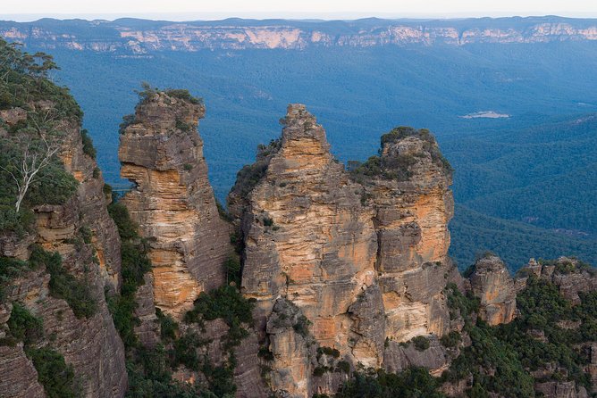 Blue Mountains Wildlife Full-Day Sights and Hiking from Sydney - Mount Tomah Botanic Garden: a quieter finish
