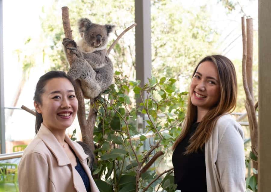 Breakfast with Koalas at WILD LIFE Zoo Darling Harbour - Key points to know before booking