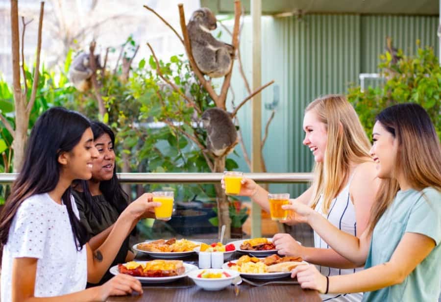 Breakfast with Koalas at WILD LIFE Zoo Darling Harbour - Arriving at 1 to 5 Wheat Road