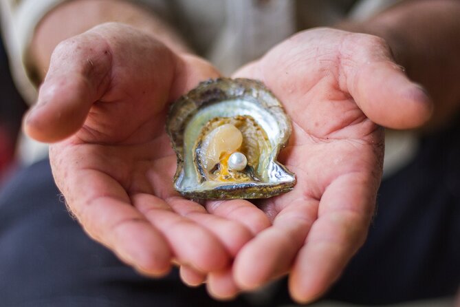 Broken Bay Pearl & Oyster Farm Tours - The oyster tasting: a small detail with real value