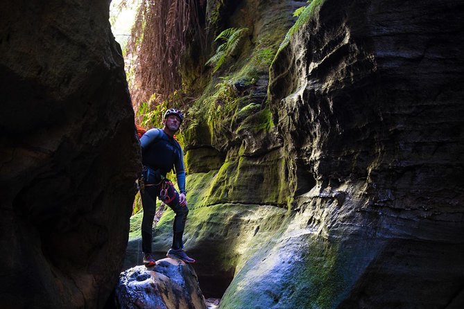 Canyoning at Twister and Rocky Creek: Two Canyons In One Day - The fern-lined walk to Rocky Creek