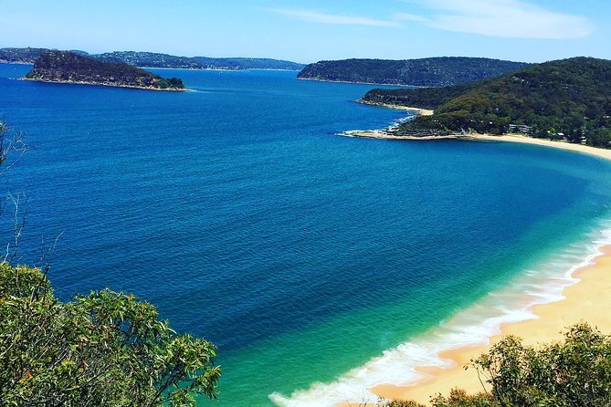 Central Coast Private Tour From Sydney, with Australian Reptile Park Option - Key things to know before you go