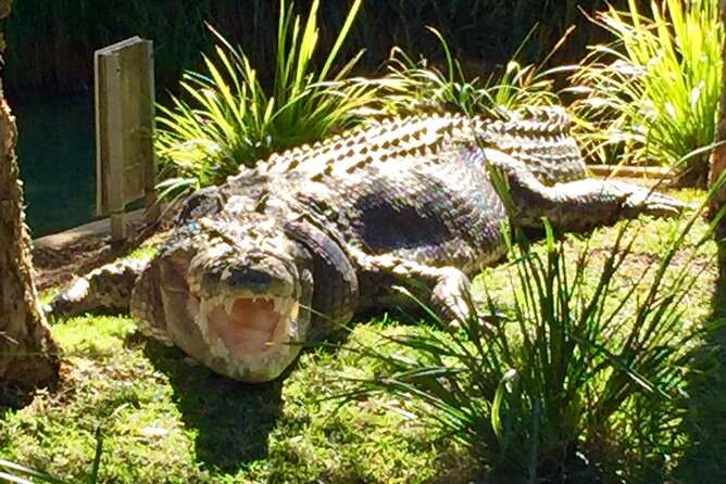 Central Coast Private Tour From Sydney, with Australian Reptile Park Option - Somersby Falls and a quiet finish