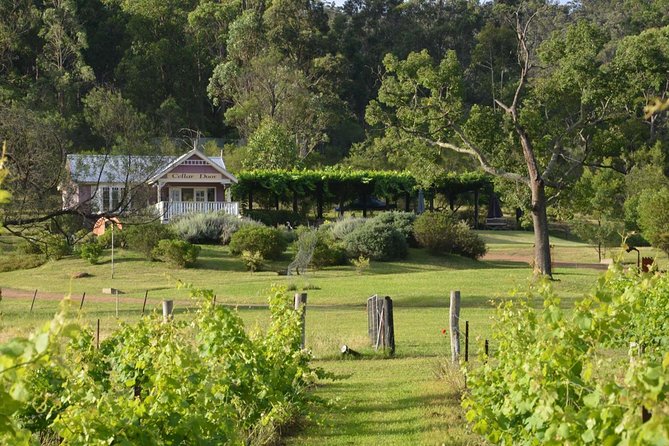 Chef-Led Hunter Valley Gourmet Food and Wine Day Tour from Sydney - The Hawkesbury River breaks up the long drive