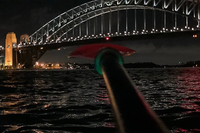 City Lights by Night Paddle on Sydney Harbour Guided Tour - Ninety minutes of lights, music, and paddling