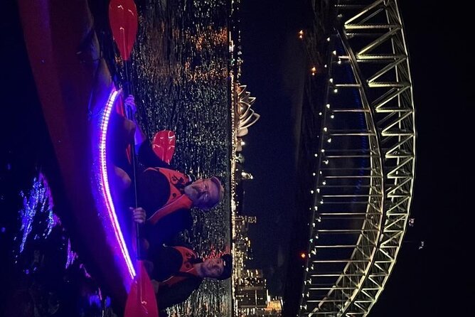 City Lights by Night Paddle on Sydney Harbour Guided Tour - Luna Park comes alive after dark