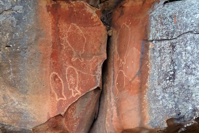 Cowan Creek Lunch paddle with Aboriginal rock art - Key points to know before you book