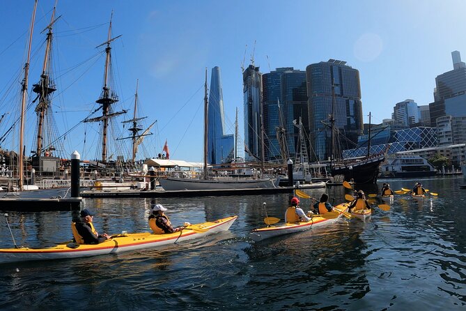 Darling Harbour Explorer - Sea Kayaking Tour - Why the small group changes the experience