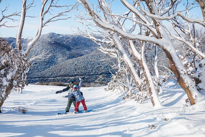 Day Trip To Snowy Mountains From Sydney - Why the driver can make or break this day