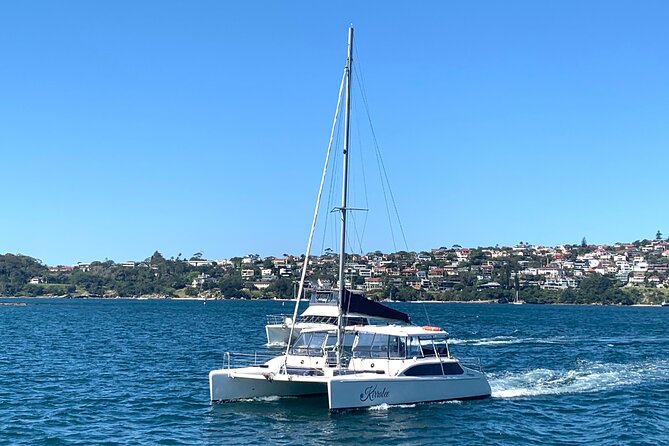 Dogs on Deck Harbour Cruise - How the small group changes the experience