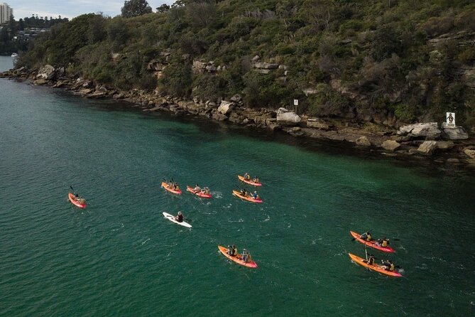 Double Kayak Hire - 4 Hours - Little Manly, swimming, and beach breaks