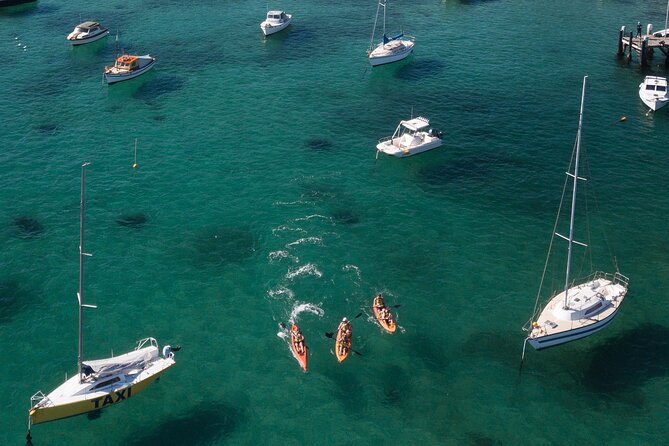 Double Kayak Hire - 4 Hours - Q Station and the wider foreshore