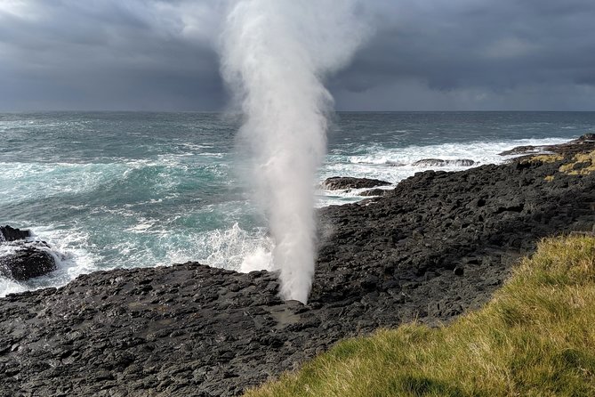 Erupting Blowholes and Ancient Rainforests SOUTH COAST OF SYDNEY PRIVATE TOUR - Key things to know before you go