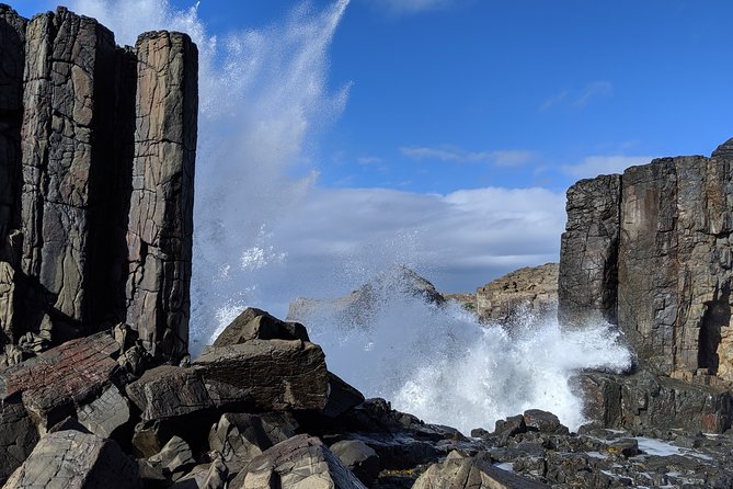 Erupting Blowholes and Ancient Rainforests SOUTH COAST OF SYDNEY PRIVATE TOUR - Killalea Regional Park and Minnamurra’s coastal path