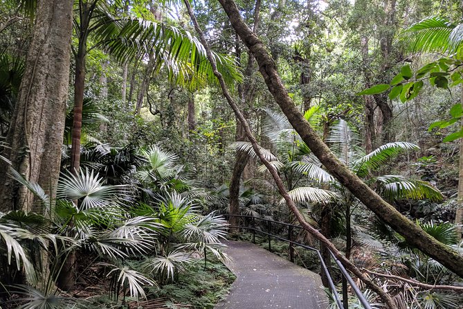 Erupting Blowholes and Ancient Rainforests SOUTH COAST OF SYDNEY PRIVATE TOUR - Bombo Headland: the tour’s most unusual rock