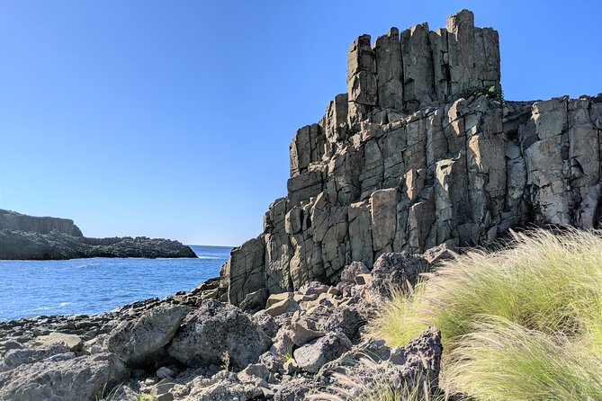 Erupting Blowholes and Ancient Rainforests SOUTH COAST OF SYDNEY PRIVATE TOUR - Kiama’s main and little blowholes