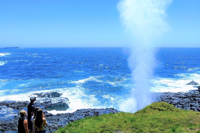 Erupting Blowholes and Ancient Rainforests SOUTH COAST OF SYDNEY PRIVATE TOUR - Austinmer Beach, Thirroul, and a coffee pause