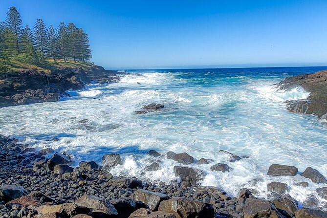 Escape Sydney: Sea Cliff Bridge, Wildlife, Kiama Coast Private - Jamberoo’s timber and dairy country