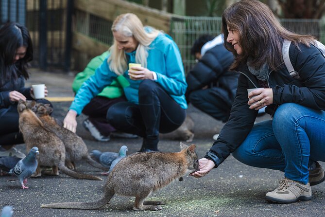 Exclusive Blue Mountains Wildlife and Bushwalk Tour From Sydney - Why this Sydney day trip works