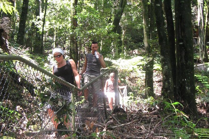 Exclusive Blue Mountains Wildlife and Bushwalk Tour From Sydney - Wentworth Falls adds real bushwalking