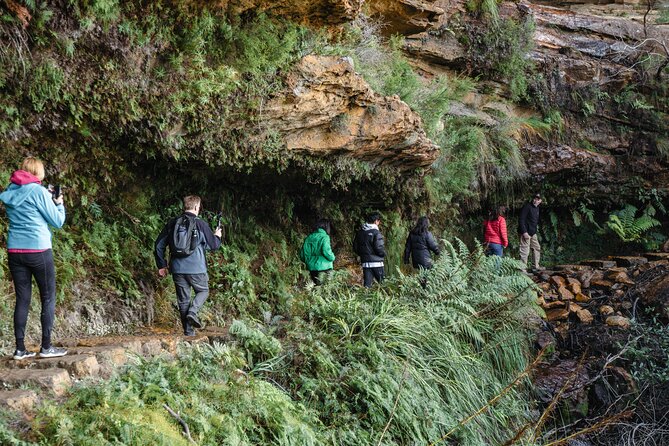 Exclusive Blue Mountains Wildlife and Bushwalk Tour From Sydney - Featherdale brings Australian wildlife within reach