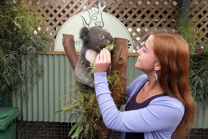 Featherdale Wildlife Park with Exclusive Private Transfers - What is included, and what costs extra