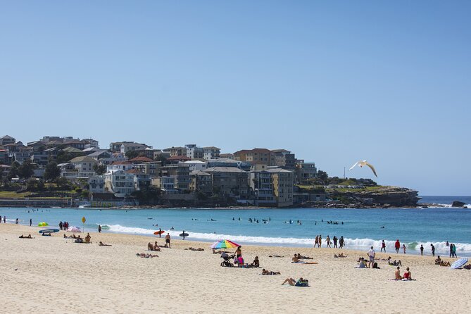 First Timer Sydney Sightseeing & Bondi Beach 1/2 Day Tour - Timing, meeting point, and practical planning