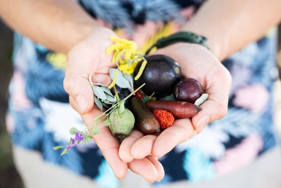 Foraging Food Tour Sydney Native Aussie Food - Starting at Man O’ War Ferry Wharf