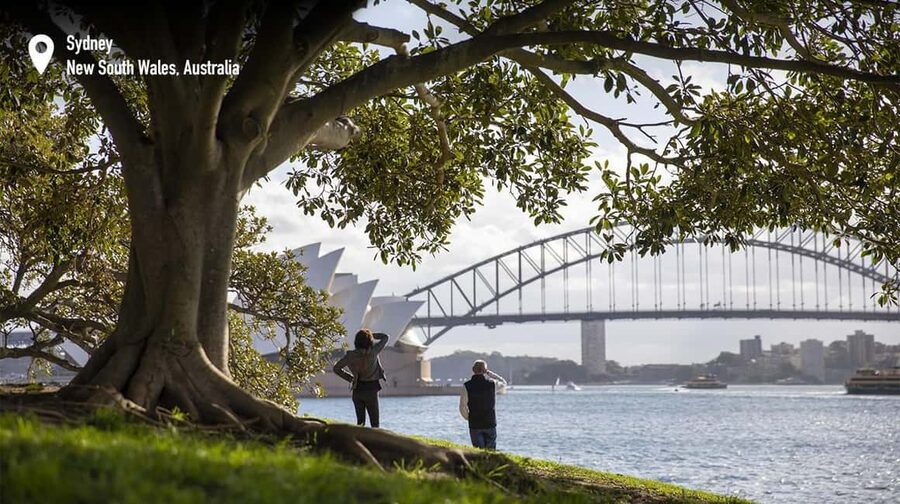 Foraging Food Tour Sydney Native Aussie Food - What comes in the bush tucker picnic hamper