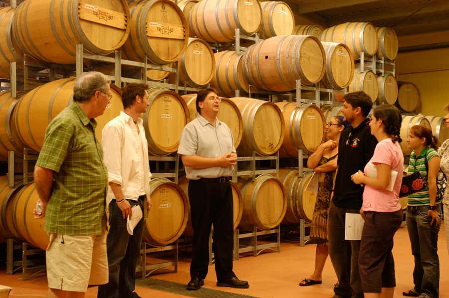 From Sydney: All Inclusive Boutique Hunter Valley Wine Tour - Artisan cheese after the main meal