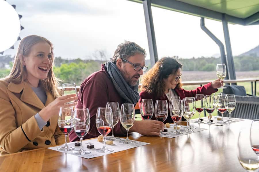 From Sydney: Award-Winning Hunter Valley Wine & Cheese Tour - Why this Hunter Valley day works well from Sydney