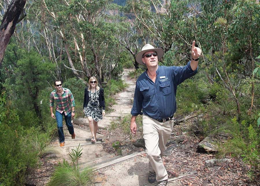 From Sydney: Blue Mountains Bushwalks & Featherdale Tour - Why this 11-hour day works well from Sydney