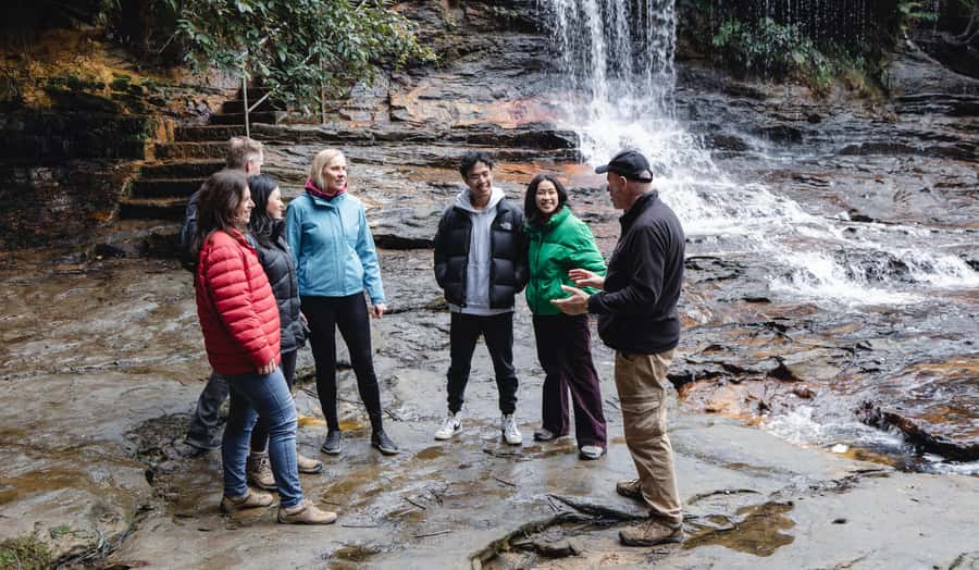 From Sydney: Blue Mountains Bushwalks & Featherdale Tour - Is $133 good value?