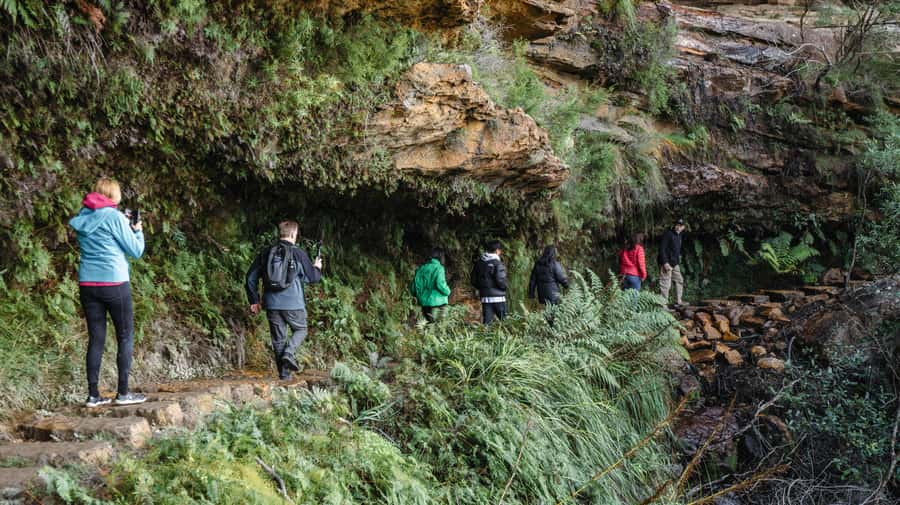 From Sydney: Blue Mountains Bushwalks & Featherdale Tour - Who should book this tour?