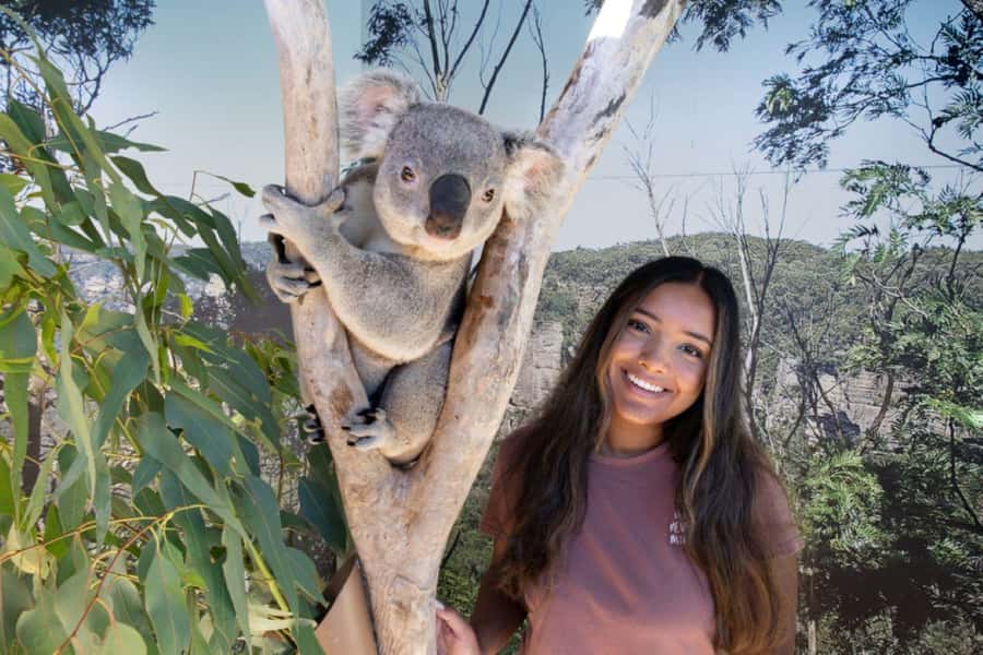 From Sydney: Blue Mountains Day Tour & Hop-on, Hop-off Tour - Why this combined tour works