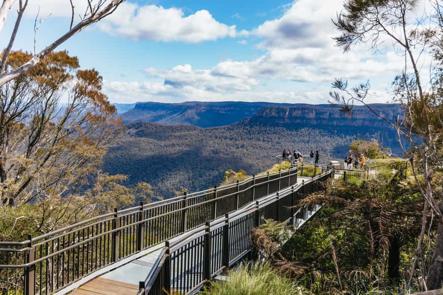 From Sydney: Blue Mountains Full-Day Trip - Featherdale Wildlife Park: the most hands-on stop