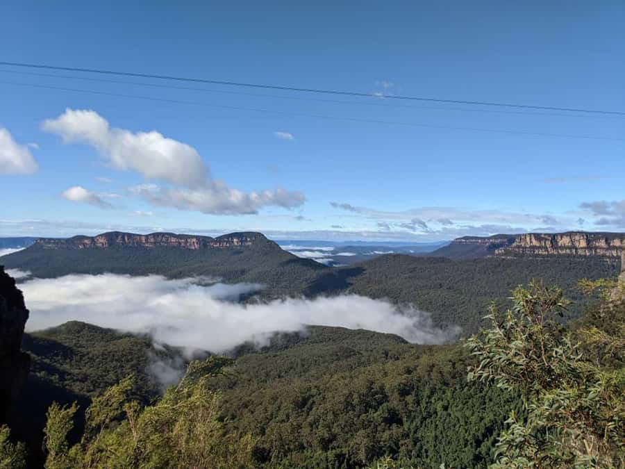 From Sydney: Blue Mountains Private Tour with Wildlife Park - A long day that packs in the Blue Mountains