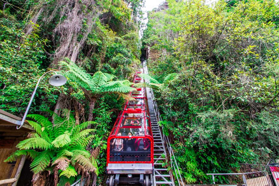 From Sydney: Blue Mountains, Scenic World, Zoo, & Ferry Ride - Why this tour works as a full Sydney day trip