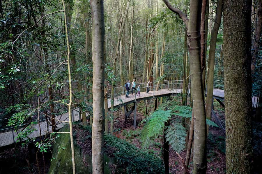 From Sydney: Blue Mountains, Scenic World, Zoo, & Ferry Ride - Echo Point and the Three Sisters
