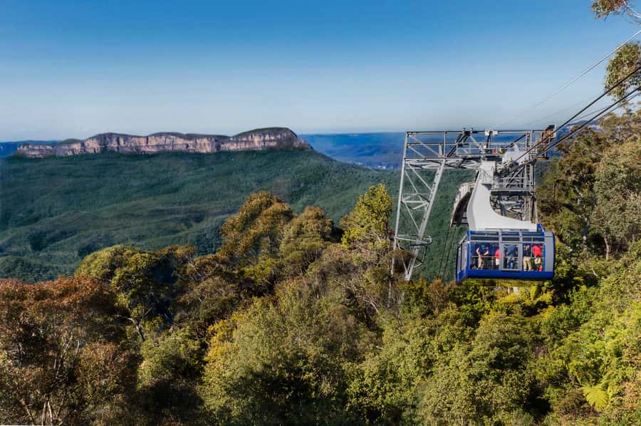 From Sydney: Blue Mountains, Scenic World, Zoo, & Ferry Ride - Sydney Zoo and Australia’s native animals