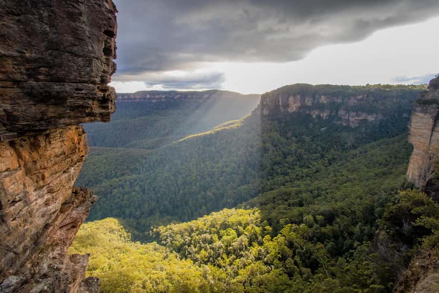 From Sydney: Blue Mountains, Sydney Zoo & Walking Tour - Should you book it?