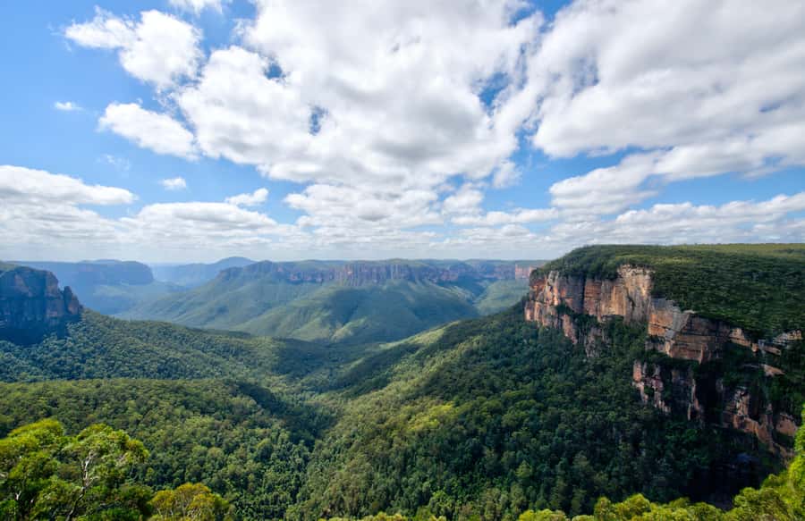 From Sydney: Blue Mountains, Sydney Zoo & Walking Tour - The unusual finish at Homebush Bay