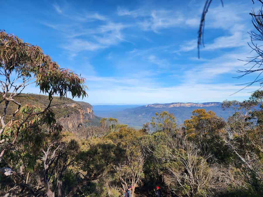 From Sydney: Blue Mountains Tour with Waterfall Walk & Lunch - Key points to know before you book