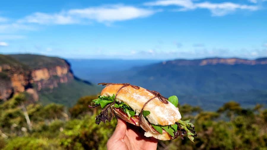 From Sydney: Blue Mountains Tour with Waterfall Walk & Lunch - Who should book this Blue Mountains day trip?