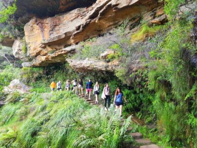 Blue Mountains Tour with Waterfall Walk & Lunch