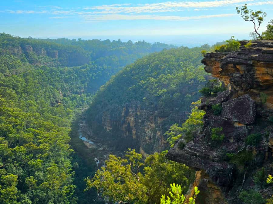 From Sydney: Blue Mountains Tour with Waterfall Walk & Lunch - How the $85 price holds up